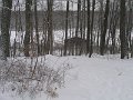 Resica Falls 1-17-2009 103
